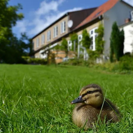 Bed & Breakfast Det Gamle Apotek Gråsten